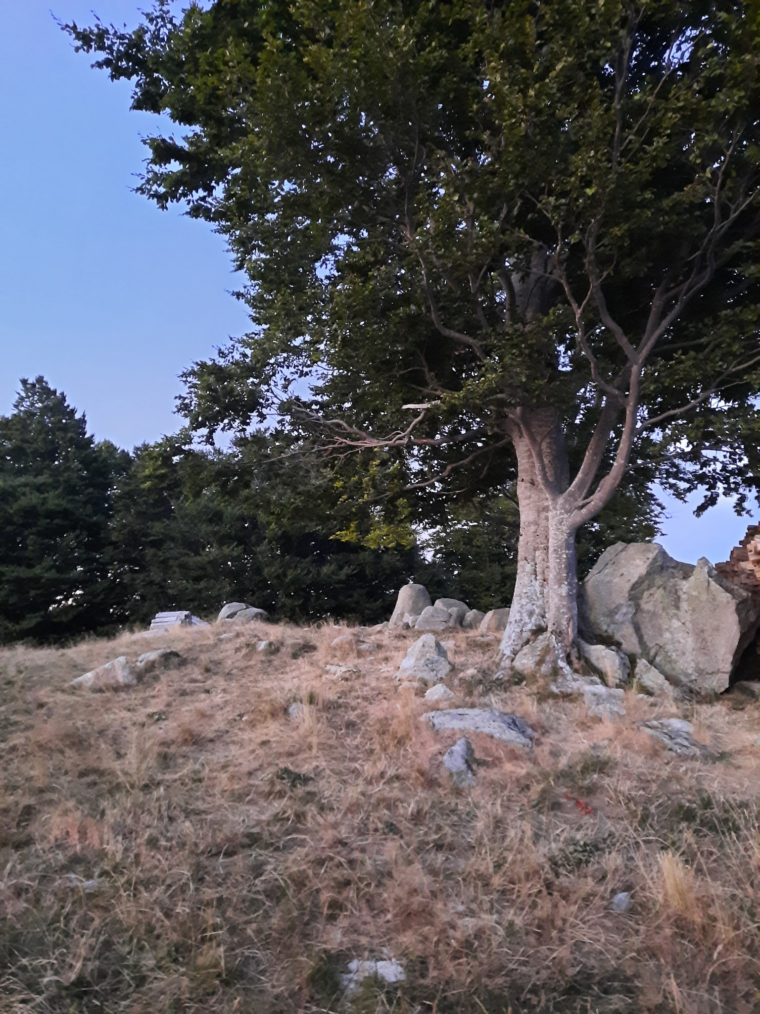 20220813210421 20220813 210420